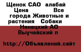 Щенок САО (алабай) › Цена ­ 10 000 - Все города Животные и растения » Собаки   . Ненецкий АО,Выучейский п.